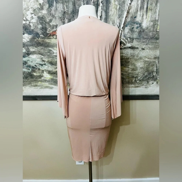 MISA Los Angeles Teget Draped Dress in Nude Size Small NWOT - Picture 10 of 16